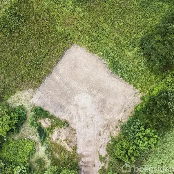 En åben, bar jordgrund omgivet af tæt grøn vegetation i et naturlandskab.