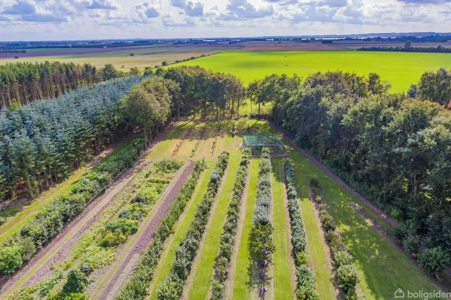 Aalborgvej 203, Holtet, 9362 Gandrup - Visning 5