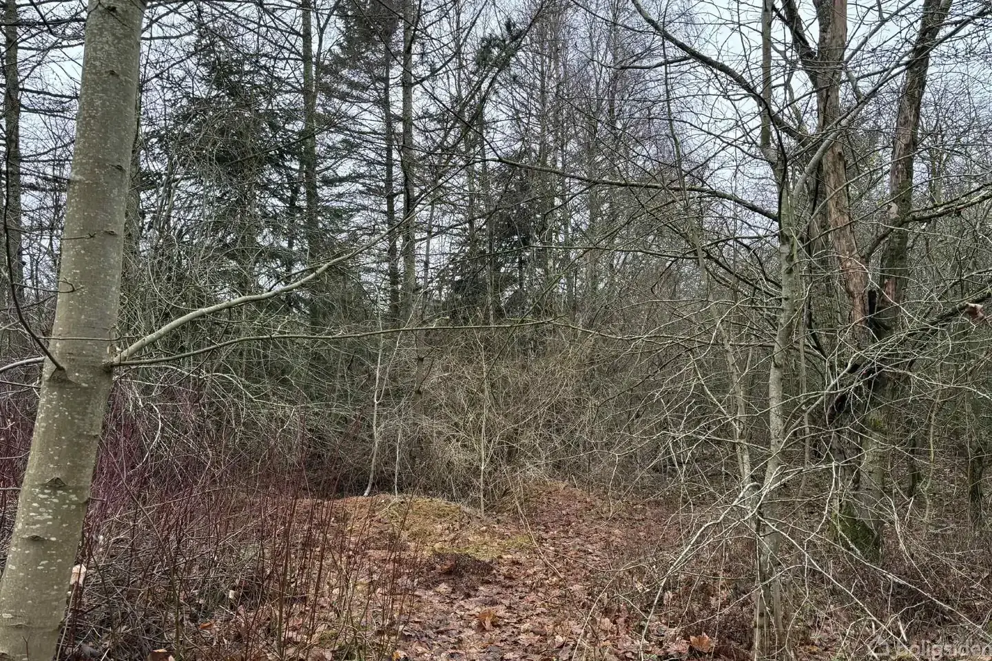 Fritidsgrund på Agnethesvej 23, 9670 Løgstør