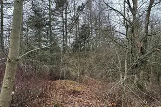 Fritidsgrund på Agnethesvej 23, Borregård, 9670 Løgstør