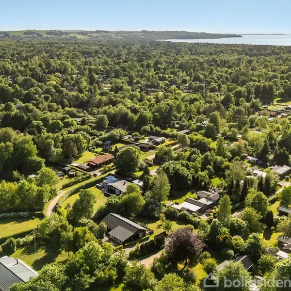 Luftfoto af et grønt villakvarter med mange træer og huse spredt ud over landskabet. I baggrunden ses en udsigt til havet.