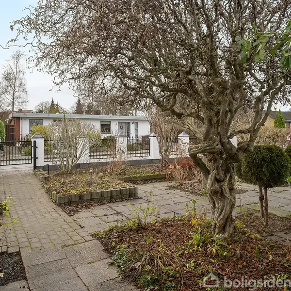 Et snoet træ står stationært på en flisebelagt terrasse, omgivet af trimmet buskads og blomsterbede. I baggrunden ses et hvidt hus med mørke tagdetaljer og en indgangsport.