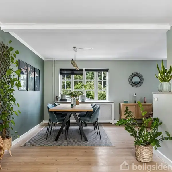 Et spisebord med sorte stole står i en spisestue med lysegrønne vægge. Rummet har store vinduer, planter og minimal dekoration, hvilket skaber et lyst og indbydende miljø.