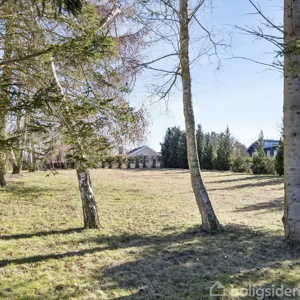 Græsplæne omkranset af træer står stille under en lys himmel. I baggrunden ses to huse delvist skjult af buske og et par grantræer.