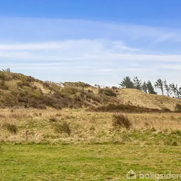 Grønt græsområde med buske og bakker i baggrunden, hvor nogle træer står på toppen. Himlen er klar med lette skyer, hvilket giver en følelse af åbent landskab.