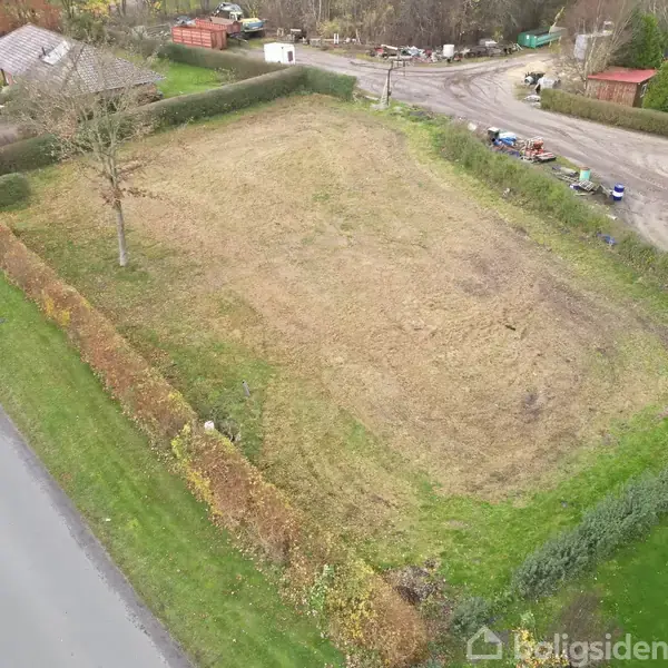 Græsplæne omgivet af hække står tom, mens en enkelt træ strækker sig opad. Omgivelserne inkluderer en vej til venstre og to huse i nærheden.