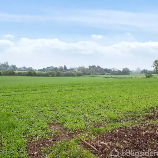 En stor, grøn mark strækker sig ud i horisonten under en blå himmel med hvide skyer. I baggrunden ses træer, og til højre står en bygning.