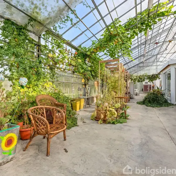 Et drivhus fyldt med grønne planter og slyngplanter, nogle i farverige potter. Rattan-stole er placeret til afslapning. Et anlagt rum, der skaber en frodig oase med et glasloft.