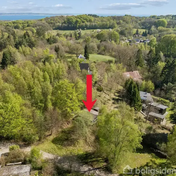 Rød pil peger mod hus omgivet af tæt skov i et bakket landskab. I baggrunden ses flere træer og en kystlinje under en blå himmel.