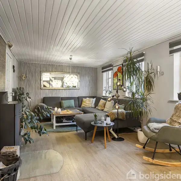 Stue indrettet med en grå sofa og et lille sofabord, omgivet af store grønne planter. Rummet har trægulve, hvidt loft og store vinduer, der giver naturligt lys.
