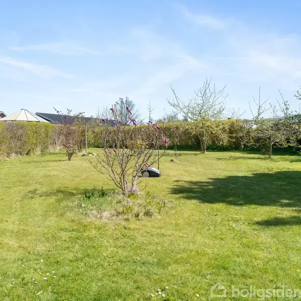 Græsplænen er omkranset af buske og træer, nogle blomstrende. En sort balje ligger centralt. Bagved ses hustage under en klar, blå himmel.