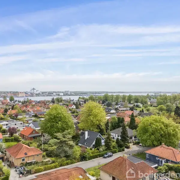 Huse ligger stille med røde tage blandt grønne træer i en forstad, set fra oven. I baggrunden ses vandet og en blå himmel med lette skyer.