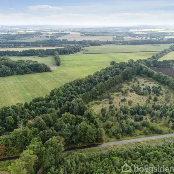 En mark med spredte skovområder og en vej igennem ligger i et åbent landskab under en overskyet himmel, med landbrugsmarker og træer i baggrunden.