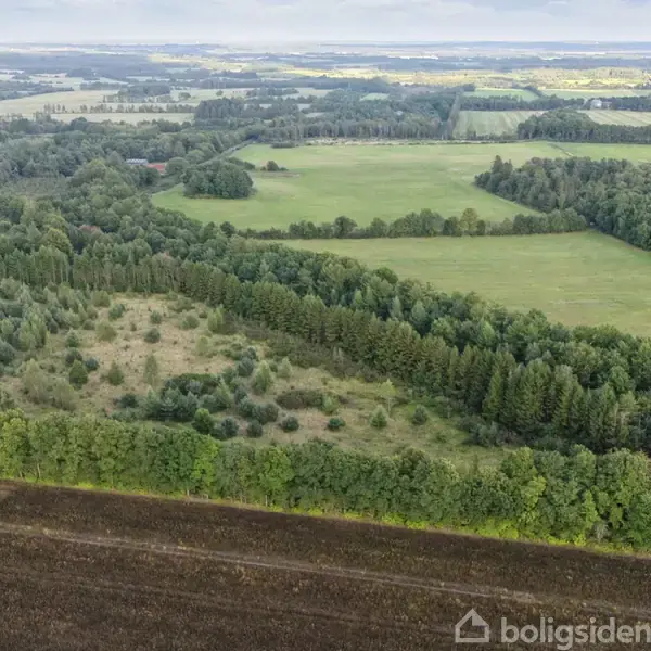 Landskab med marker og skov. Et bælte af træer grænser op til et stort, åbent græsareal i baggrunden, omgivet af vidtstrakte, skovklædte områder under en overskyet himmel.