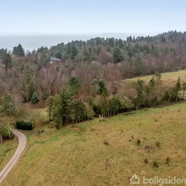 En snoet grusvej løber gennem et kuperet landskab. Til venstre er der frodig skov med tætte, mørke træer. Højre side viser åbne græsarealer, der skråner mod horisonten.