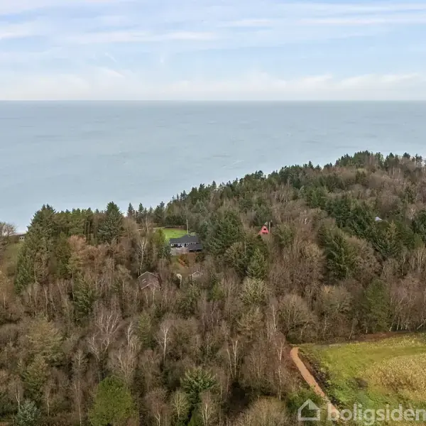 Skovklædt område ved kysten med udsigt til havet i baggrunden, en smal sti snor sig gennem landskabet, mens spredte huse er synlige blandt træerne.