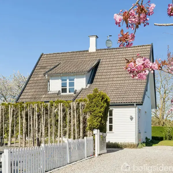 Et hvidmalet hus med skråtag står i solskin. Foran er der en lille grusvej omkranset af et hvidt stakit. Lyserøde blomster blomstrer på træerne i forgrunden.