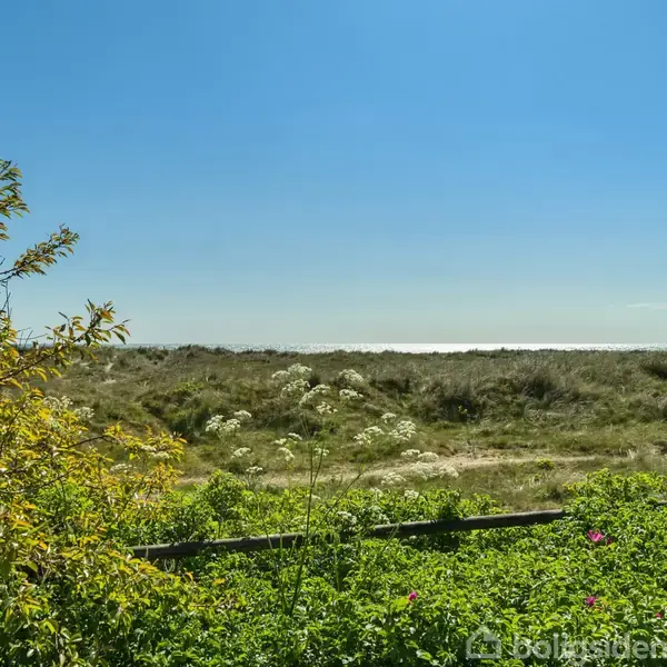 Buske står stille ved kanten af en strandeng, omgivet af frodigt grønt med vilde blomster. I baggrunden ses en klar, blå himmel og havet i horisonten.