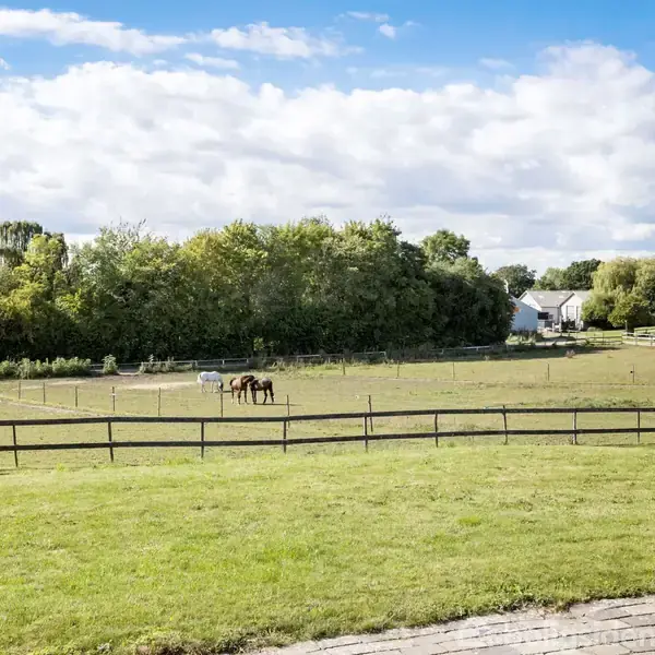 En hest græsser på en indhegnet mark tæt ved et hus. I baggrunden ses træer og en klar blå himmel med skyer.
