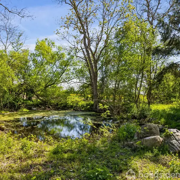 En lille dam ligger stille omgivet af grønne træer og buske. Sollys skinner gennem løvet, og sten er spredt omkring i det frodige græs ved vandkanten.