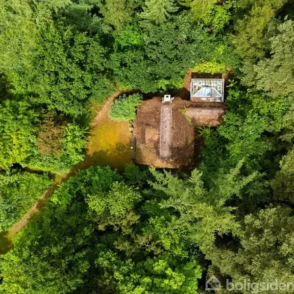 Hus står stille i skovomgivelser omgivet af tæt grøn bevoksning. En sti fører til huset, og en terrasse er synlig på taget.