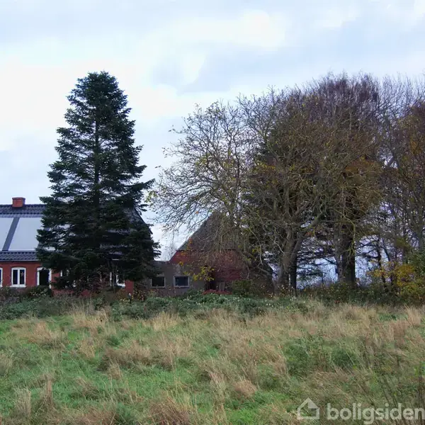 Et rødt hus med solpaneler på taget står ved siden af en høj grantræ. Omgivet af buskads og åbne grønne marker under en overskyet himmel.