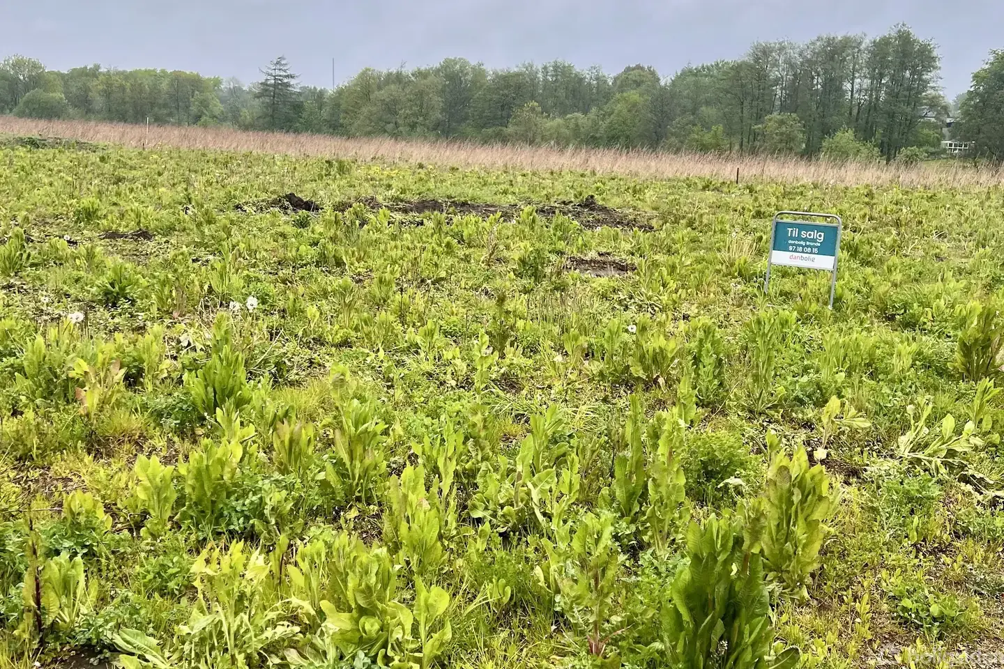 full year plot - Christiansmindevej 32, 7330 Brande - View 4