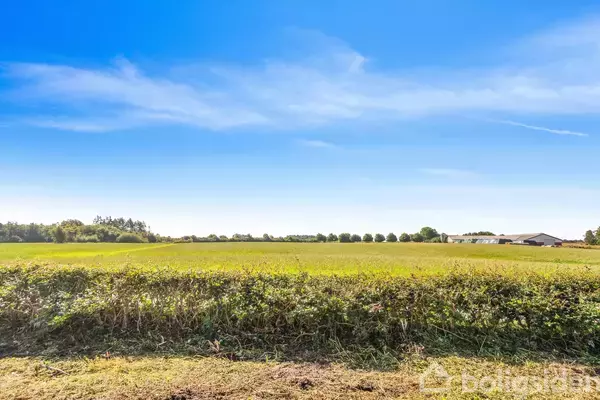 Grøn mark strækker sig under en klar blå himmel med spredte skyer. Lav beplantning danner en skillelinje. I det fjerne ses træer og en gårdbygning på højre side.
