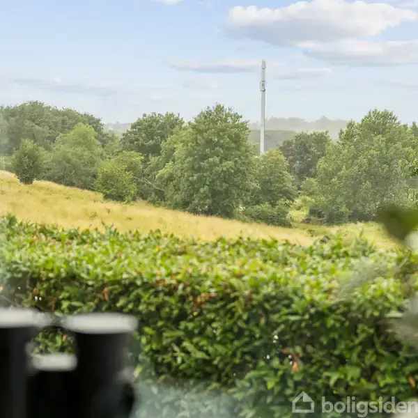 Kikkert står stille på en vindueskarm og peger ud mod en grøn, frodig udsigt med træer og marker. Baggrunden er en lys, klar himmel med enkelte skyer.