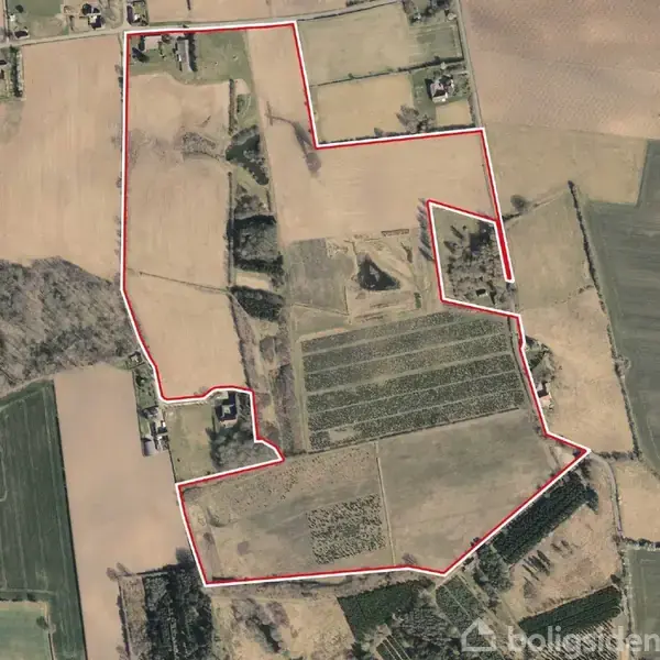 Et stort landbrugsområde indrammet med en rød streg, omgivet af marker og små huse. Landskabet består af forskellige afgrøder i et mønstret layout set fra oven.
