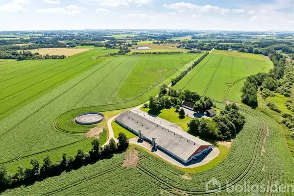 Planteavlsgård/-jord på Ovnstrupvej 6, 9352 Dybvad