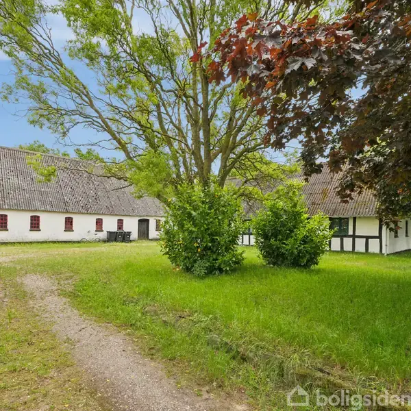 En stor, hvid, bondegårdsbygning står stille med grusvej i forgrunden, omgivet af grønne træer og græsplæne under en blå himmel.