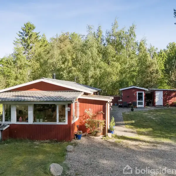 Rødt træhus med store vinduer står i sollys omgivet af frodige træer. Grusvej fører til et skur i baggrunden. Haven er grøn, og der er planter foran huset.