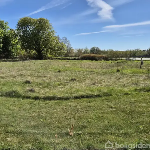 Græsbeklædt mark ligger stille i et åbent naturområde med spredte træer, blå himmel og en sø i baggrunden under en klar himmel uden tekst.