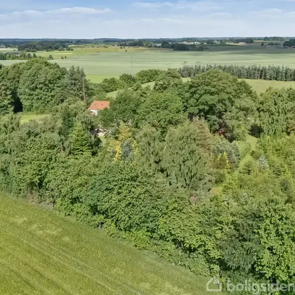 Hus med rødt tag gemt blandt tætte, grønne skove og marker. Omkringliggende landbrugslandskab strækker sig ud til horisonten under en blå, let overskyet himmel.