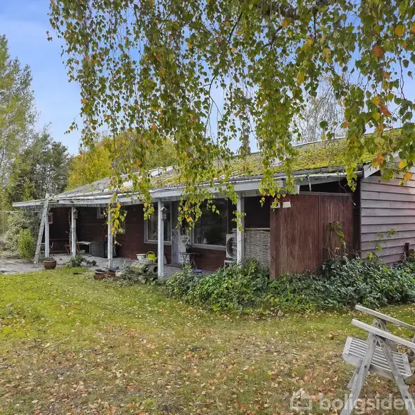 Et træhus med grøn bevoksning på taget står stille i en frodig have. Foran huset er der en hvid træstol på en græsplæne omgivet af træer.