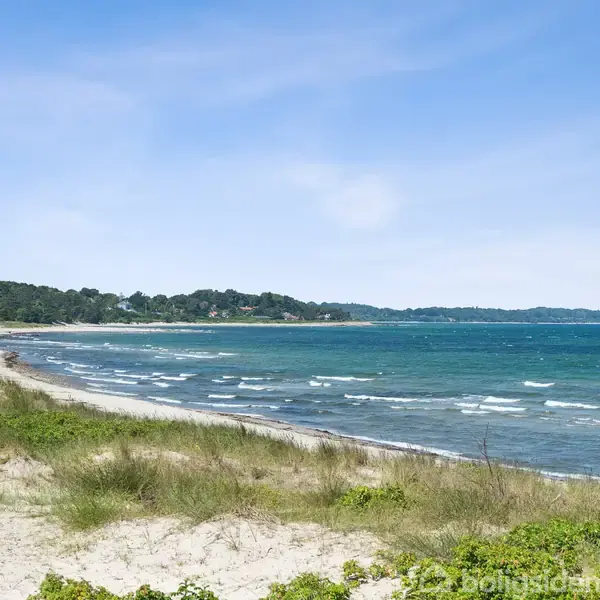 Strand med bølger ruller mod kysten, omgivet af grønt græs og buske, under en klar blå himmel. Skovklædt kyststrækning ses i baggrunden.