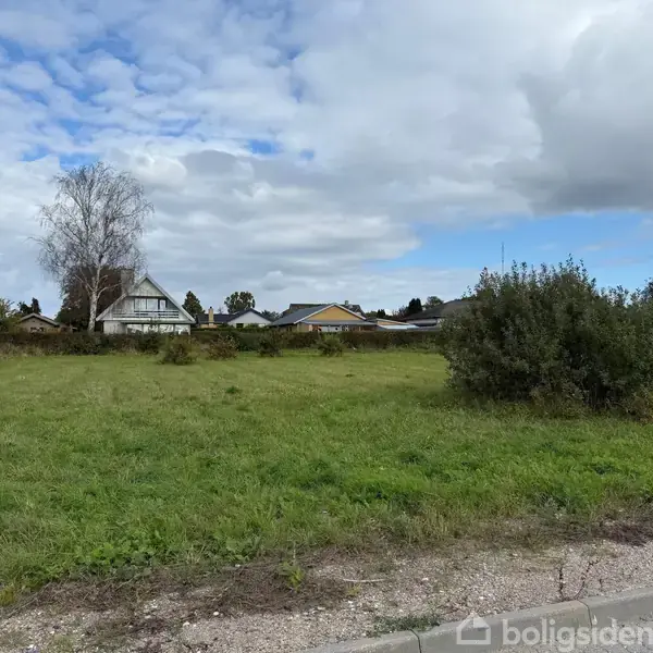 En grøn mark med græs vokser i et urbaniseret område, omgivet af huse og en blå, let skyet himmel i baggrunden. En busk står i højre side.