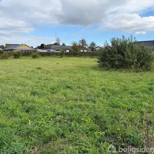En åben græsmark med en busk i forgrunden. En række huse ligger i baggrunden under en delvis skyet blå himmel.