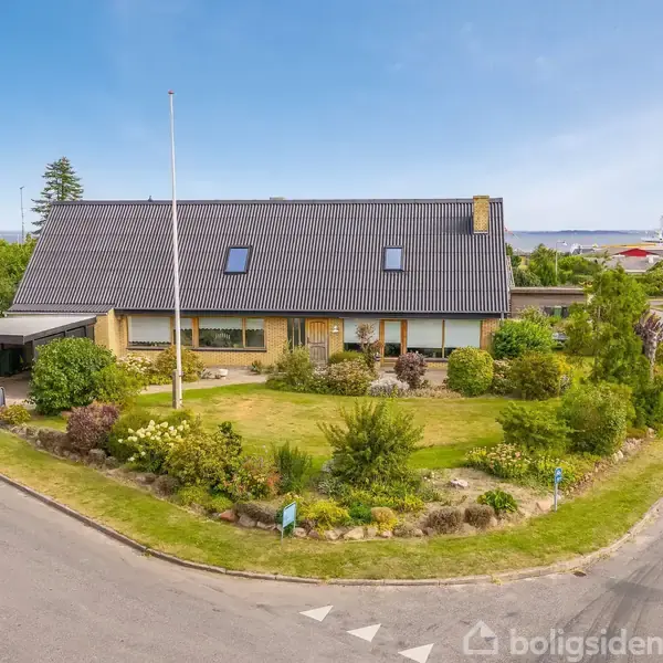 Sort lædersofa-arrangement står i en stue, rettet mod en vægmonteret fladskærm og pejs. Store vinduer med udsigt og indendørs planter tilfører rummet lys og natur.