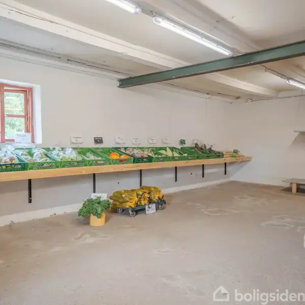 Frugt- og grøntsagsafdeling med hylder bærer forskellige friske produkter som kål og bananer. Loftet har belysning, og et lille vindue giver dagslys. Enkel skiltning viser produktetiketter.