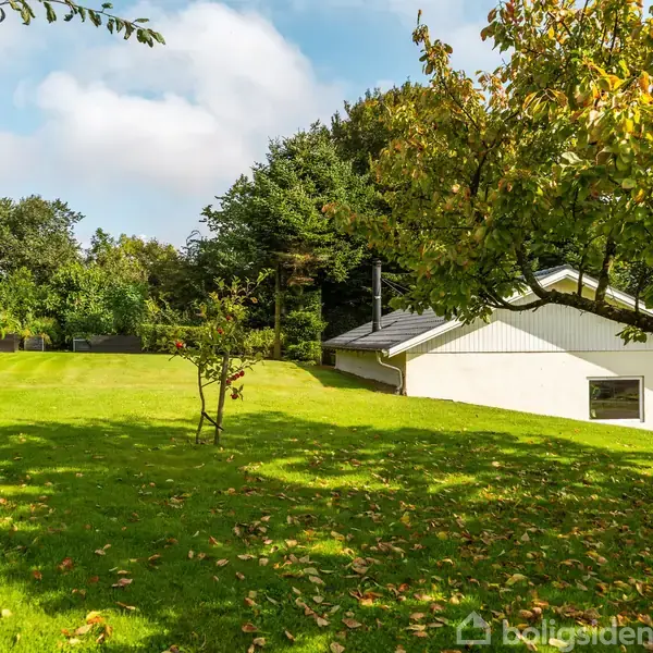 En græsklædt have med spredte frugttræer omkranser et hvidt hus i et skovrigt område. Solen skinner over huset, og efterårsblade er spredt på græsset.
