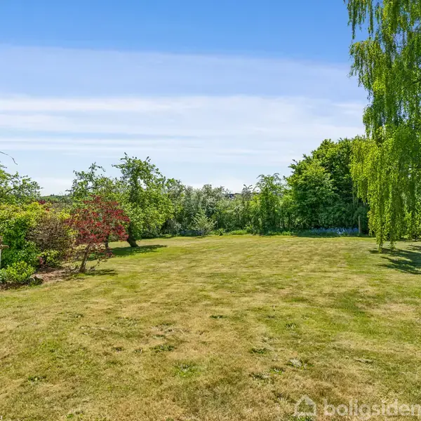 Græsplæne strækker sig ind i horisonten med frodige træer og buske omkring. Grønne grene hænger ned langs siderne. Sollys oplyser området. Træer danner en naturlig bagmur.