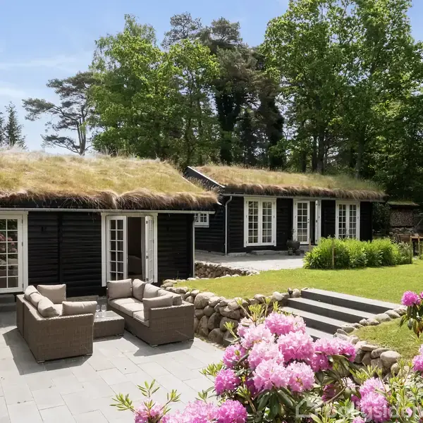 Hus med græsbevokset tag står stille omgivet af skov. I forgrunden er en terrasse med havemøbler og farverige blomster i solen.