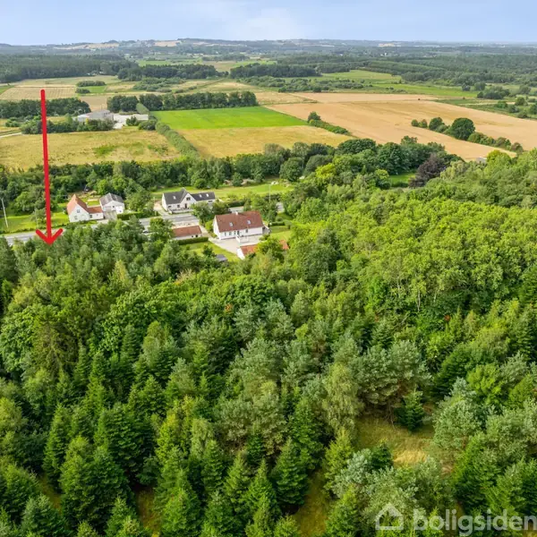 En rød pil peger på et hus gemt mellem frodige trætoppe. Huset ligger i en landsby omgivet af åbne marker og skovklædte områder.