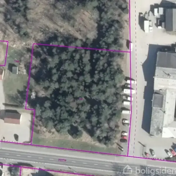 En tæt bevoksning af træer set ovenfra. Omkranset af pink linjer, ved siden af flere parkerede biler. Området grænser op til en bygning til højre. Tekst: "taa" og "alt".