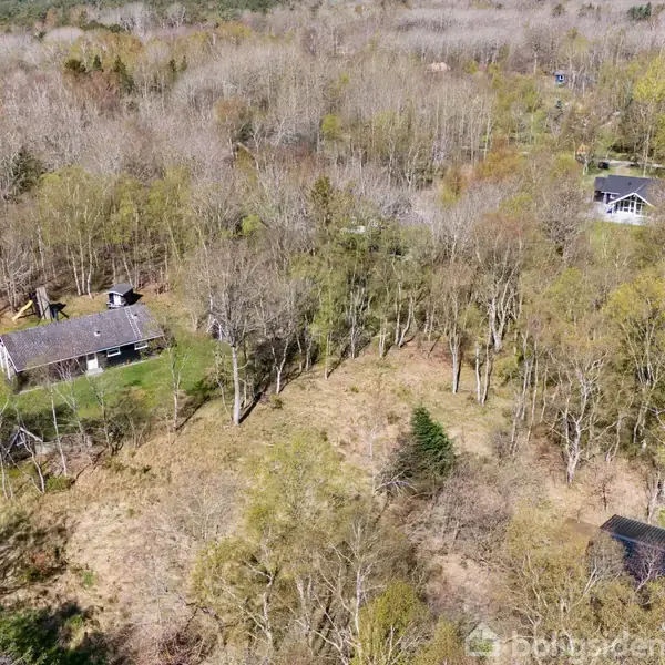 Et skovområde med spredte huse blandt træerne. Husene er omgivet af græsarealer og skovbevoksning, der strækker sig ud i horisonten.