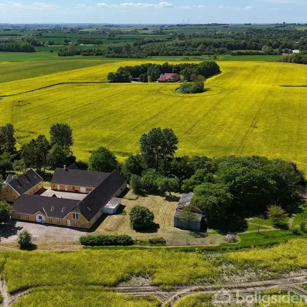 Gule bygninger med mørke tage ligger omgivet af frodige grønne træer. Bygningerne er placeret ved en stor, gul mark under en blå himmel med spredte skyer.