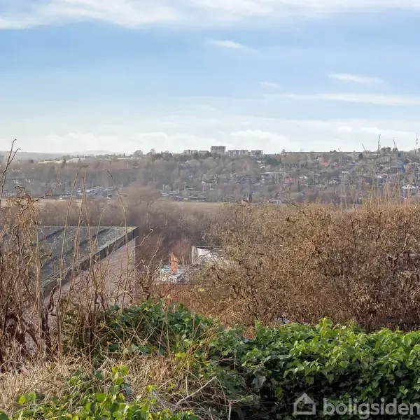 By udsigt med spredte bygninger i det fjerne. Træer og buske i forgrunden foran en blå, let skyet himmel.
