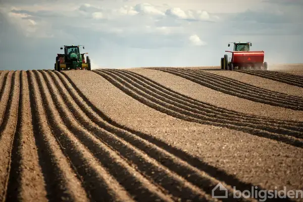 Planteavlsgård/-jord på Tranekærvej 120, 9490 Pandrup